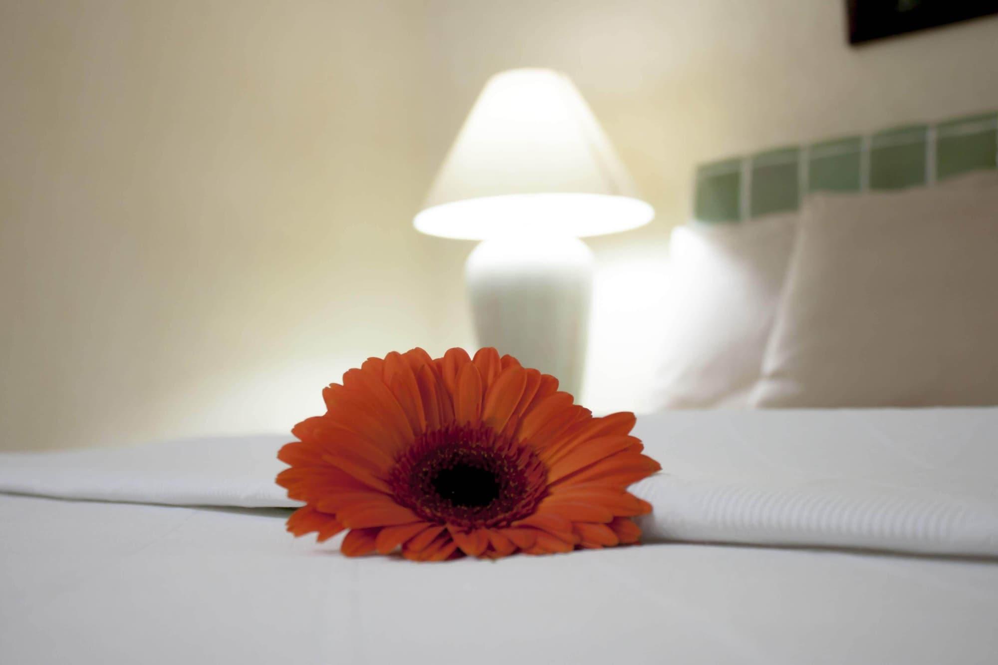 Hotel Coral Ixtapa Ixtapa  Zewnętrze zdjęcie
